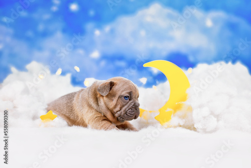 Choco red fawn French Bulldog puppy between fluffy clouds with moon and stars