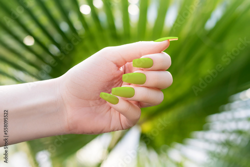 Female hand with green nail design. Mate green nail polish manicure. Hand with green manicure on tropic background.
