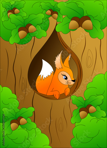 squirrel sits in its hollow