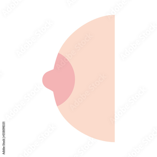 横から見た片方の乳房