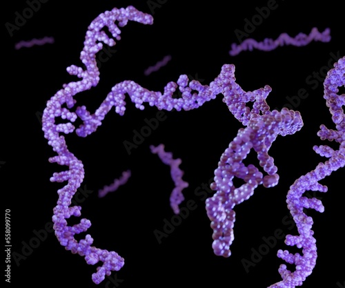 Vászonkép RNA abbreviation of ribonucleic acid