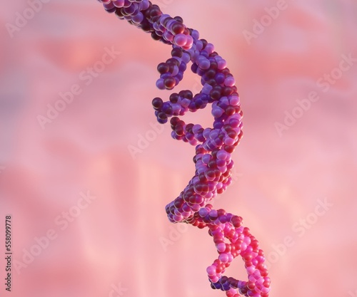 RNA abbreviation of ribonucleic acid. RNA typically is a single-stranded biopolymer 3D rendering photo