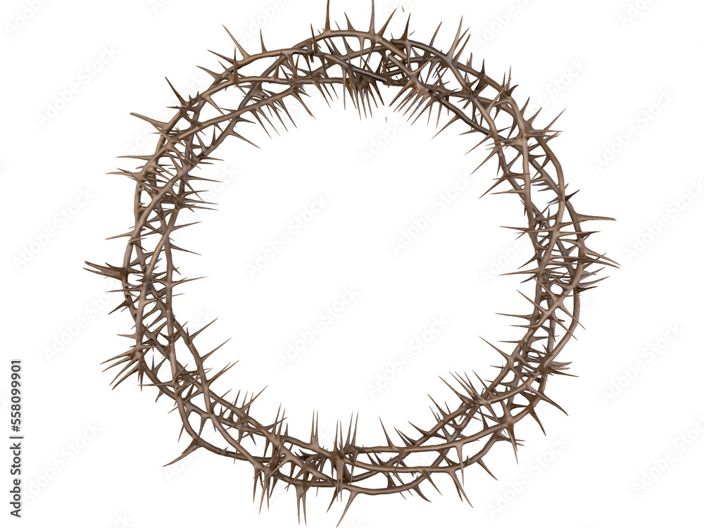 Fototapeta premium Crown Of Thorns