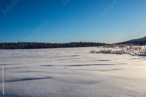 Wallpaper Mural Winter landscape in Pallas Yllastunturi National Park, Lapland, Finland Torontodigital.ca