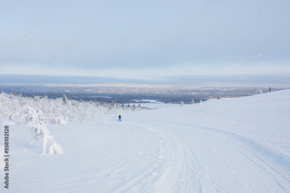 Ski expedition in Pallas Yllastunturi National Park , Lapland, Finland