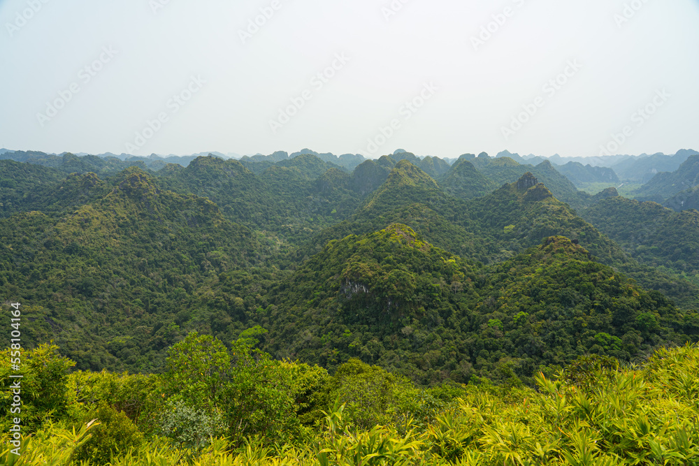 Grüner und hügeliger Regenwald in Vietnam Asien von einem Berg aus gesehen. Grüner und hügeliger Regenwald in Vietnam Asien von einem Berg aus gesehen.