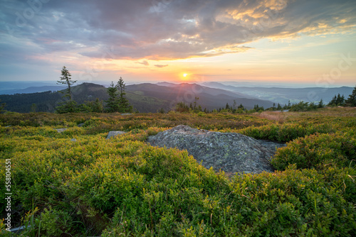 Принти на полотні Farbiger Sonnenuntergang auf dem Gipfel des großen Arber im Bayerischen Wald mit Fels und Heide im Vordergrund