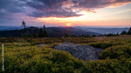 Sonnenuntergang am großen Arber im Bayerischen Wald bei Bodenmais mit Fels und Heide im Vordergrund.