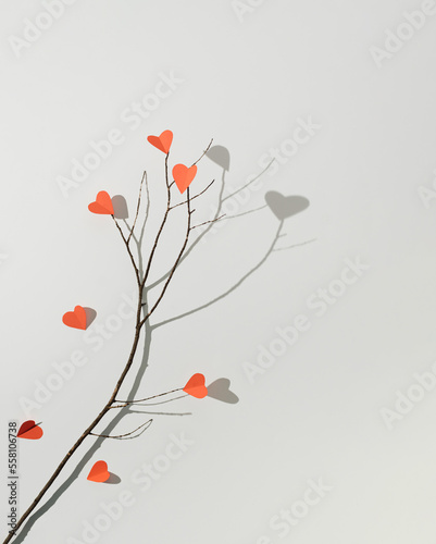 Tree branch with red paper hearts on white background. Minimal love or valentine concept.