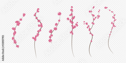 vector cherry blossom  sakura branch with pink flowers