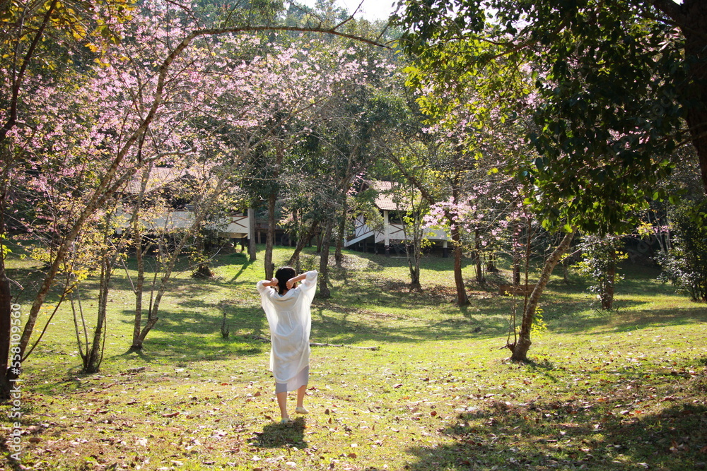 Asian woman in the field of flowers. Asian woman in the field of flowers.