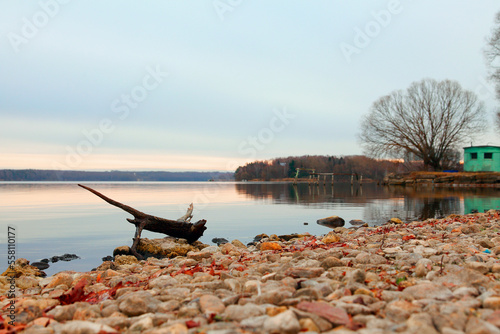 The picturesque shore of Lake Senezh photo