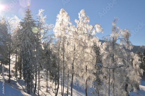zima, śnieg, mróz, Beskidy, góry, krajobraz, przeziębienie, drzew, droga, niebo, biała, lodu, góra, pora roku, błękit, 