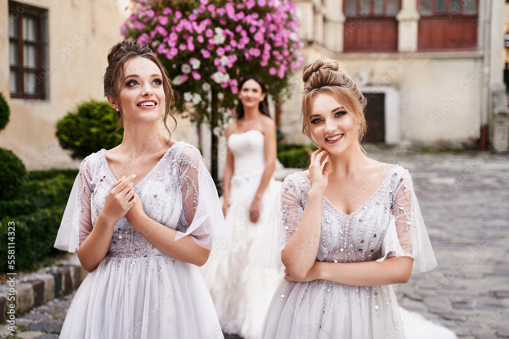 Beautiful bride and bridesmaids in gorgeous elegant stylish light grey silver floor length dresses in old beautiful European city on a wedding day.