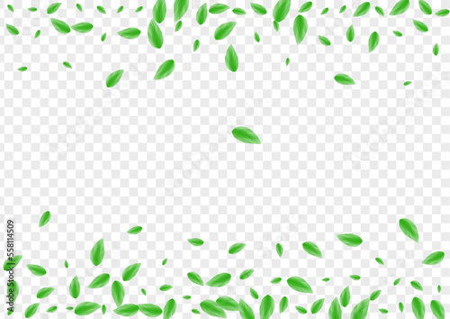 Green Foliage Background Transparent Vector. Plant Creative Design. Wild Card. Greenish Drink Illustration. Leaf Border.