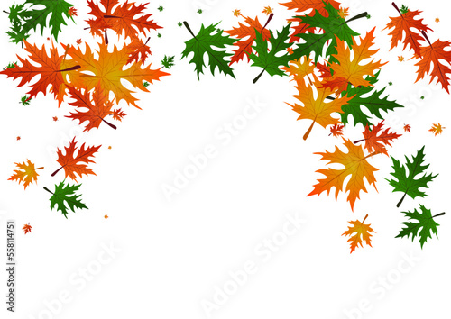 Colorful Foliage Background White Vector. Plant September Card. Green National. Flag Pattern. Gold Leaves Design.