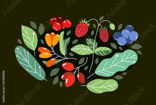 Wild berries fresh and ripe tasty healthy food with leaves vector flat style illustration over dark background, delicious vegetation diet eating, nature gifts.