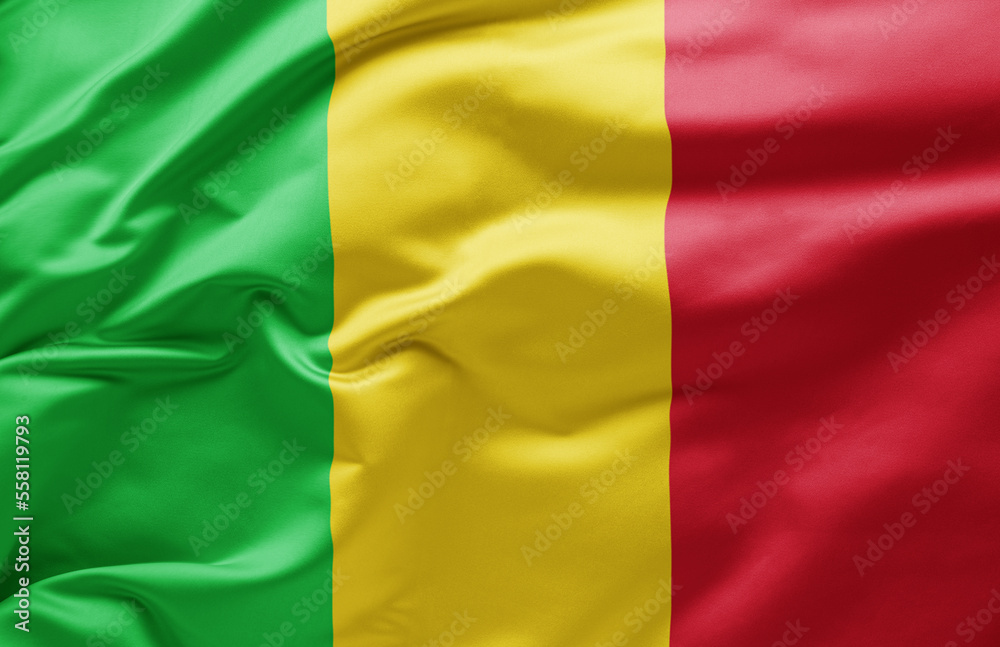  Waving national flag of Mali