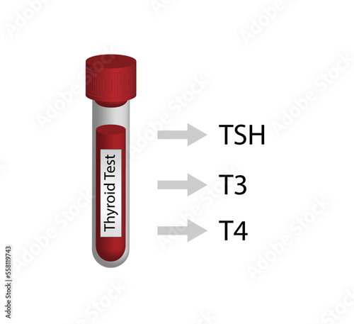 Thyroid profile test, Thyroid gland. Blood sample in test tube. TSH, T3 and T4 hormones. Hypothyroidism and hyperthyroidism. Endocrinology System or Hormone Secretion. Vector illustration.