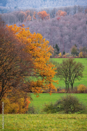Hiking on the swabian jura in autumn with fall colors