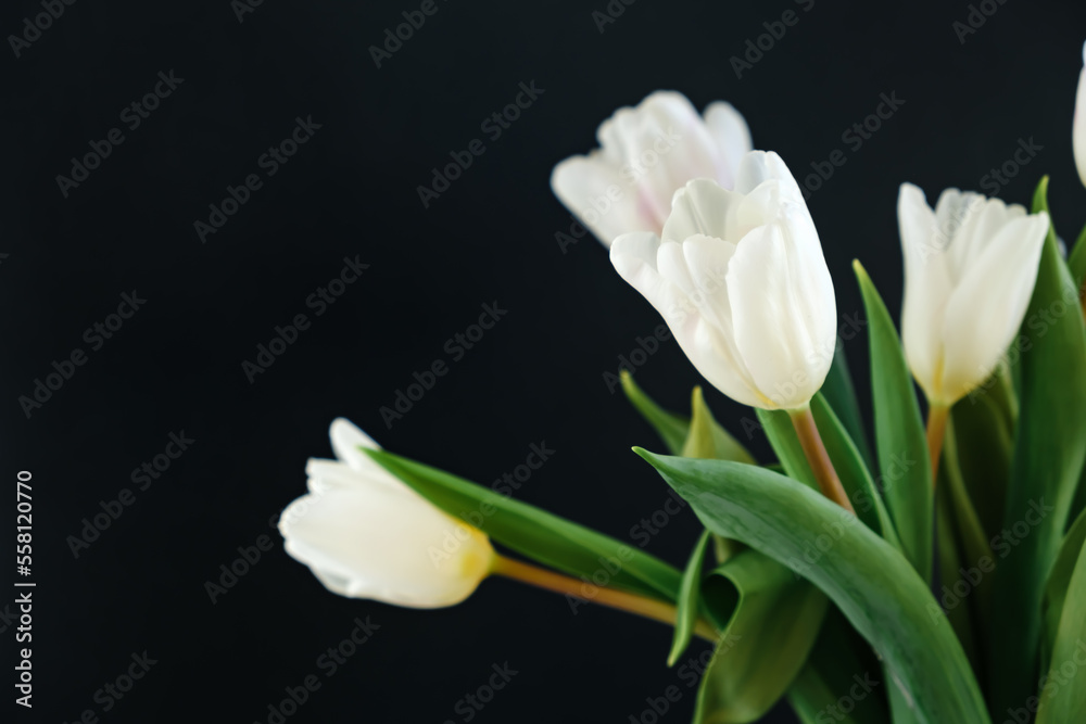 White tulip flowers isolated on black background close-up. Side view of beautiful bouquet. Valentines day, Mothers day, Womens day. Banner. Text place. Mockup design. Gift certificate. Greeting card White tulip flowers isolated on black background close-up. Side view of beautiful bouquet. Valentines day, Mothers day, Womens day. Banner. Text place. Mockup design. Gift certificate. Greeting card