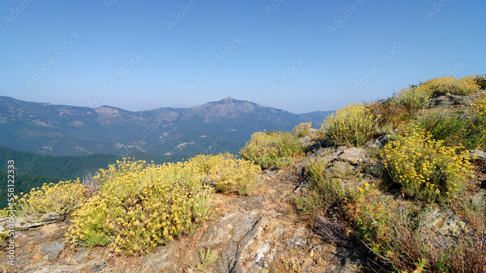 Mountain path in Olmeli peak. Upper Corsica mountain