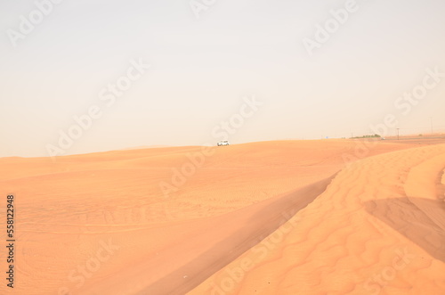 sand dunes in the desert