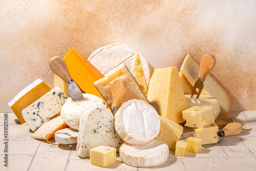 Slika na platnu Different sorts of cheese