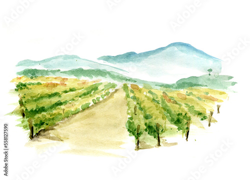 Abstract landscape with vineyard / Watercolor illustration, mountain landscape with fields