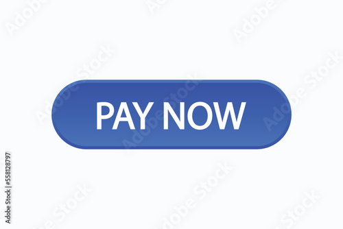 pay now button vectors.sign label speech bubble pay now 
