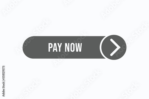 pay now button vectors.sign label speech bubble pay now 
