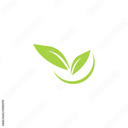 Green leaf logo design on white background Free Vector