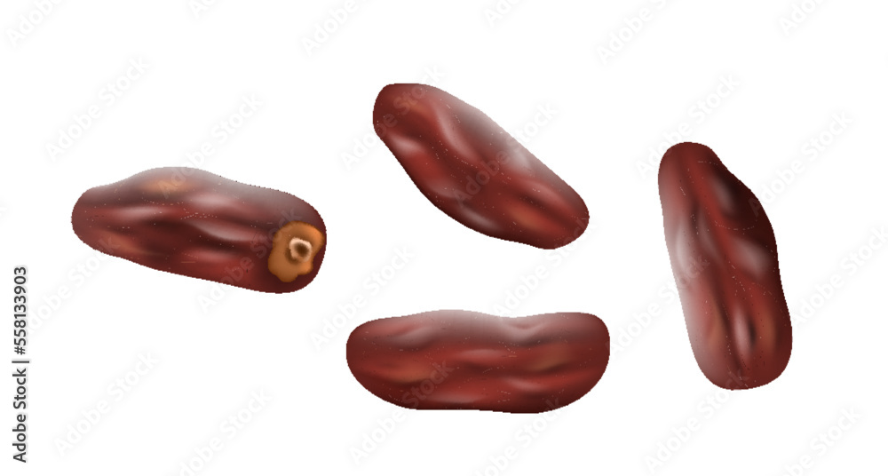 Sweet date fruits realistic isolated. Healthy dried dessert for vegan and vegetarian nutrition Sweet date fruits realistic isolated. Healthy dried dessert for vegan and vegetarian nutrition