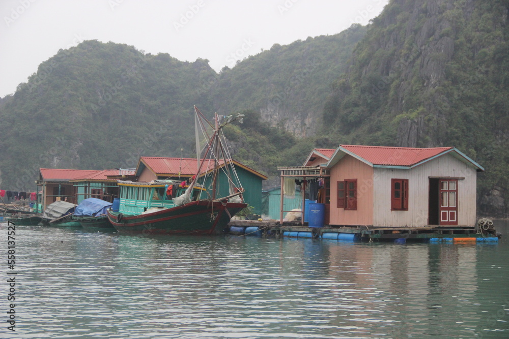 Baie d'Halong - Viet Nam