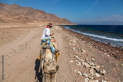 A beautiful girl rides a camel along the seashore. High mountains. Sunny summer day. Beautiful girl on a high camel.