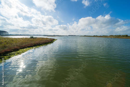 Nature reserve Waterdunen  the Netherlands