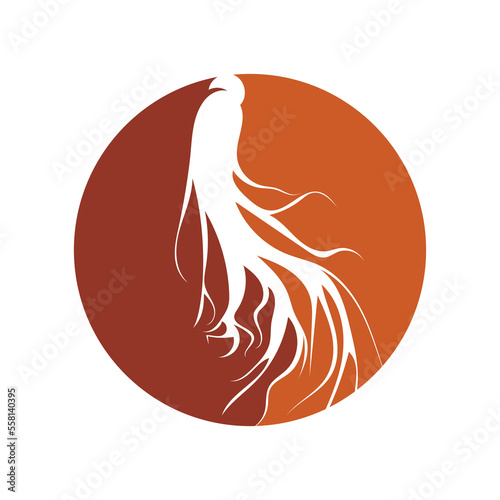 Ginseng logo design template and symbol icon