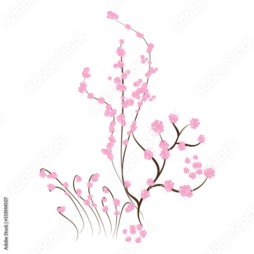 vector cherry blossom, sakura branch with pink flowers