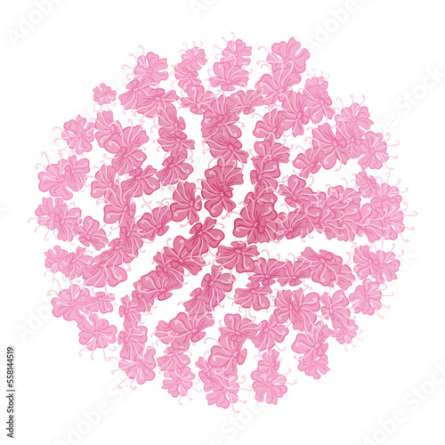 vector cherry blossom  sakura branch with pink flowers
