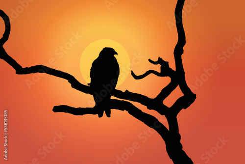 Fototapeta Naklejka Na Ścianę i Meble -  Eagle vector art, Silhouette of an Eagle on a branch.