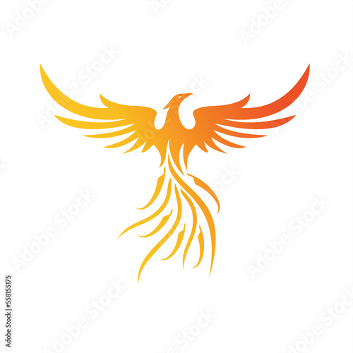 Charming Illustration phoenix, bird illustrations for icons or logos