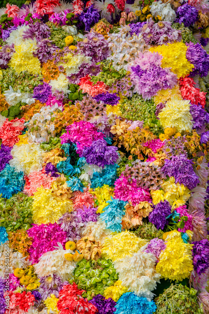 Commercial Silleta, flower fair in the city of Medellin - Colombia