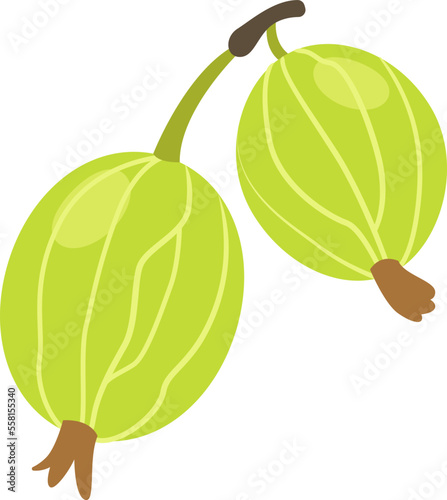Gooseberry organic fruit flat icon