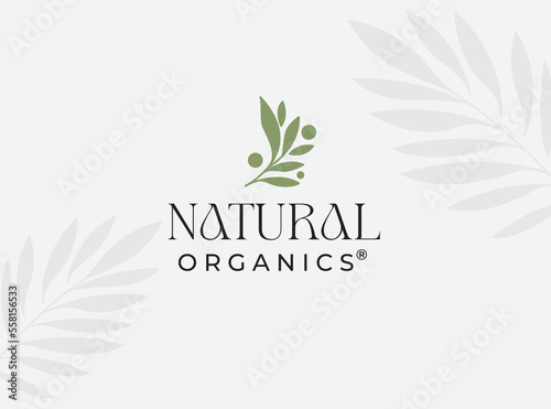 lines circle olive oil leaf logo design vector icon symbol illustration