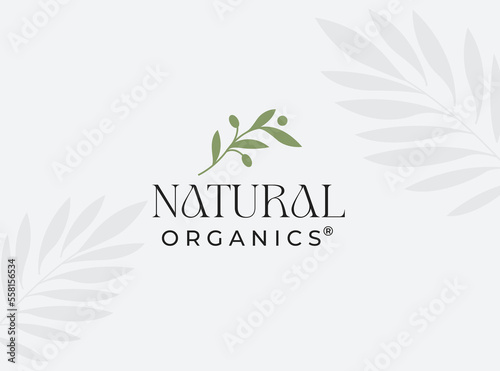 lines circle olive oil leaf logo design vector icon symbol illustration