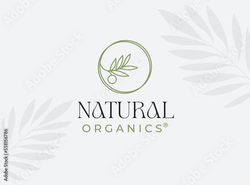 lines circle olive oil leaf logo design vector icon symbol illustration