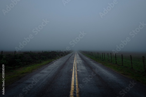 road in the fog