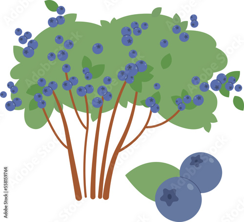Sweet blueberries bushes flat icon Agriculture and gardening