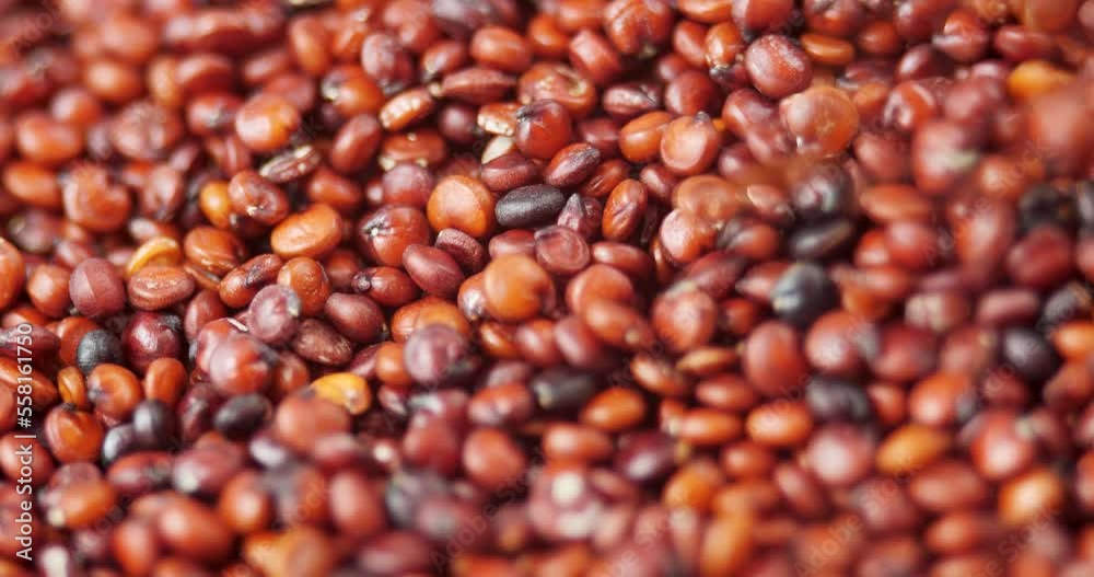 Heap of Red Quinoa Seeds Rotating Background with Falling Seeds from Above. Vegan Food for Healthy Salads and Porridge. Organic Chenopodium Quinoa Side View and Texture Background Heap of Red Quinoa Seeds Rotating Background with Falling Seeds from Above. Vegan Food for Healthy Salads and Porridge. Organic Chenopodium Quinoa Side View and Texture Background