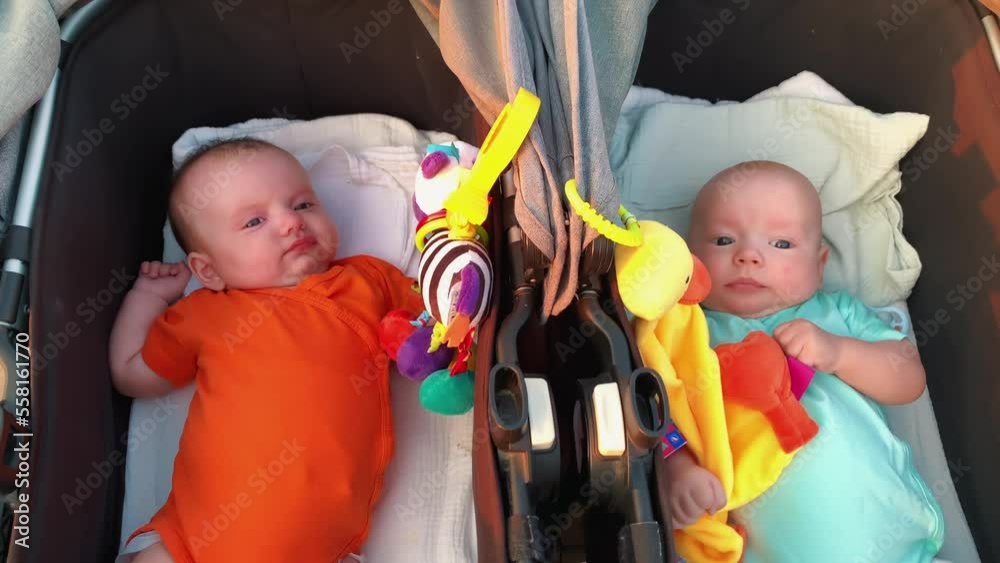 two twin babies in a pram on the street. happy family kid dream concept
